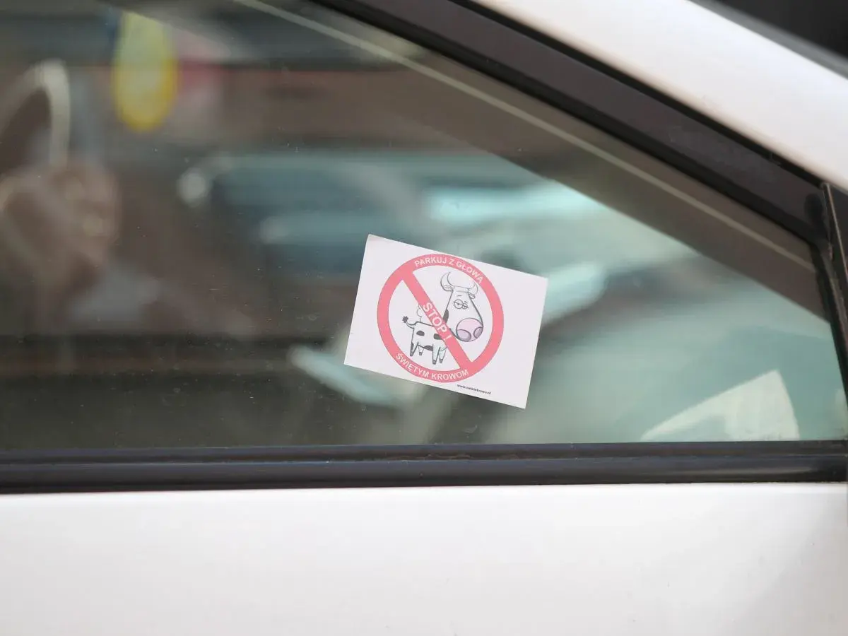 Naklejka "Parkuj z głową, stop świętym krowom" na szybie. Chcesz wiedzieć, jak usunąć naklejkę rejestracyjną z szyby?